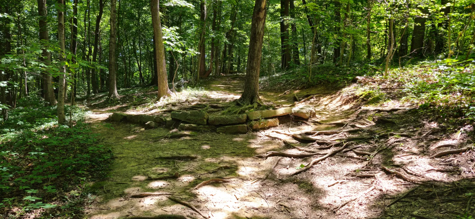 Observer Route 002 photo slideshow in Cherokee Park